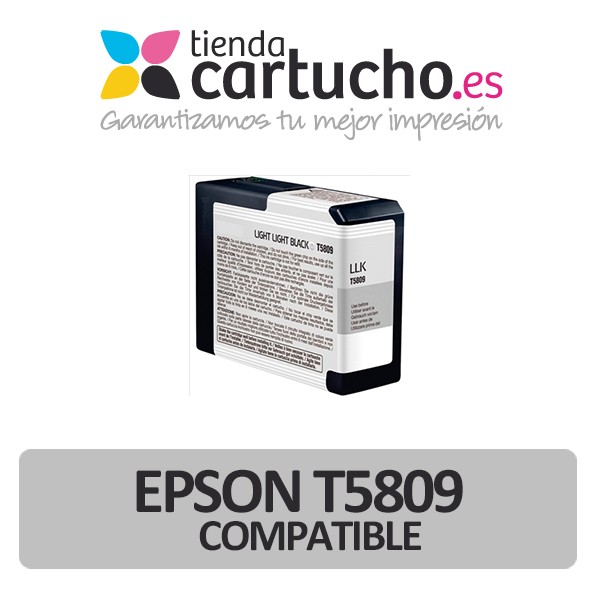 Cartouche d'encre Epson T5809 noir light light compatible Cartouche d'encre Epson T5809 noir light light compatible