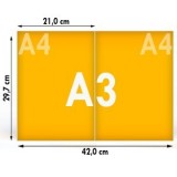 A3